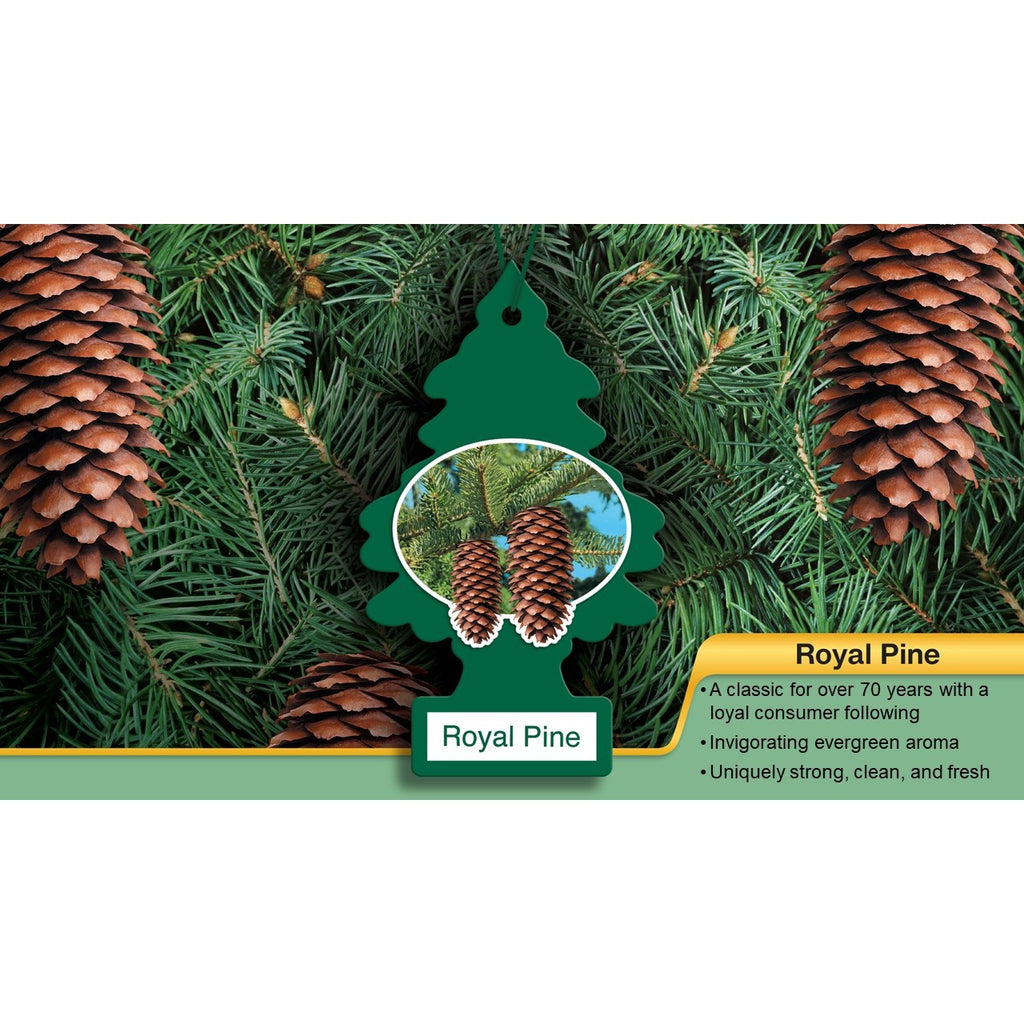 【little beast】クリスマスローズ　デュメトルム系株分け little beast】クリスマスローズ デュメトルム系株分け