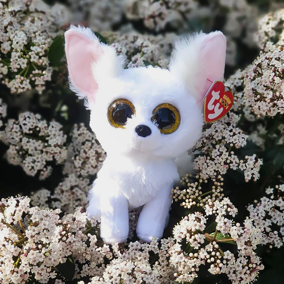 Beanie Boo's フェニックス  (M)