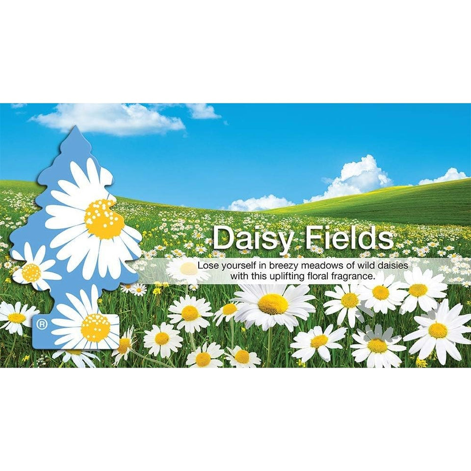 LT エアーフレッシュナー - Daisy Fields