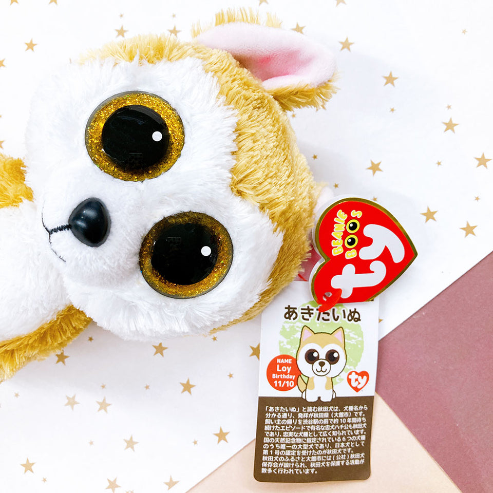 Beanie Boo's ロイ 秋田犬(日本限定品)(M)